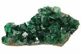 Gorgeous, Fluorite Crystal Cluster with Galena- Rogerley Mine #132993-1